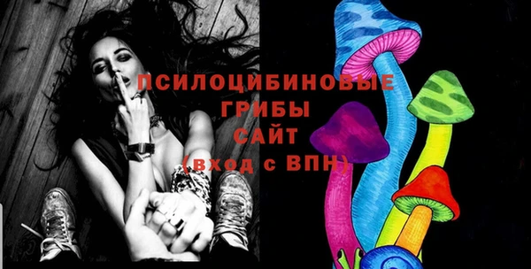 2c-b Алзамай